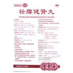 Baiyunshan Chenliji Zhuangyao Jianshen Wan 白云山陈李济壮腰健肾丸