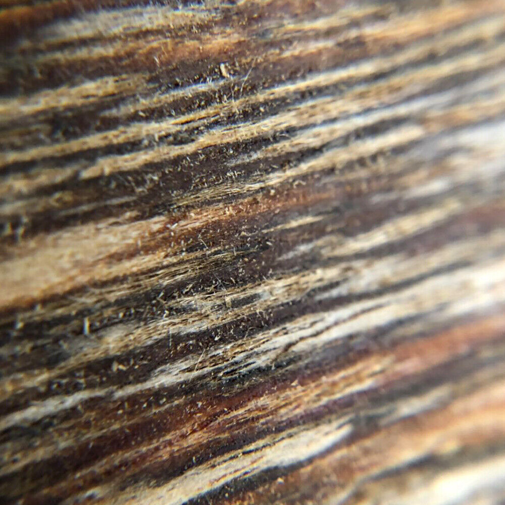 HelloYoung Incense Aroma Natural Wild And Rare 50g High Quality Agarwood Chips Oud Chips