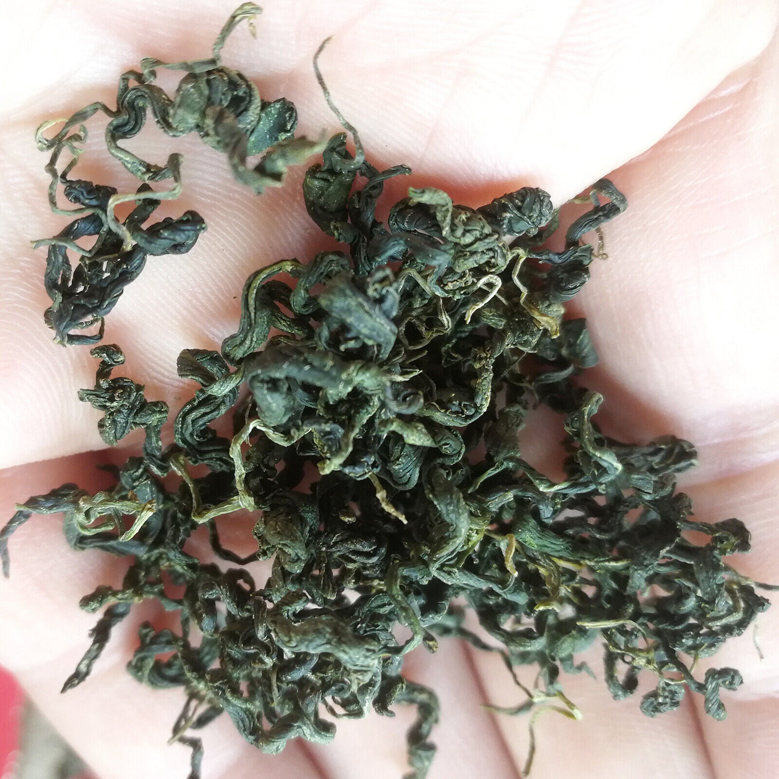 HelloYoung 250g Jiaogulan  Loose Leaf Herbal Tea Natural Gynostemma Pentaphyllum Herbs Tea