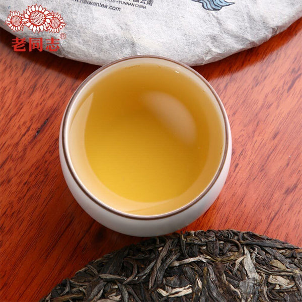 HelloYoung Haiwan Chinese Puer Tea Liang Yuan "Deng Yun" Raw Puerh 400g