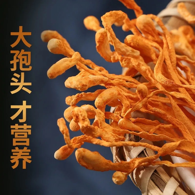HelloYoung 250g Organic Cordyceps Sinensis Dried Mushroom Chinese Tradition Medicine Secondary image