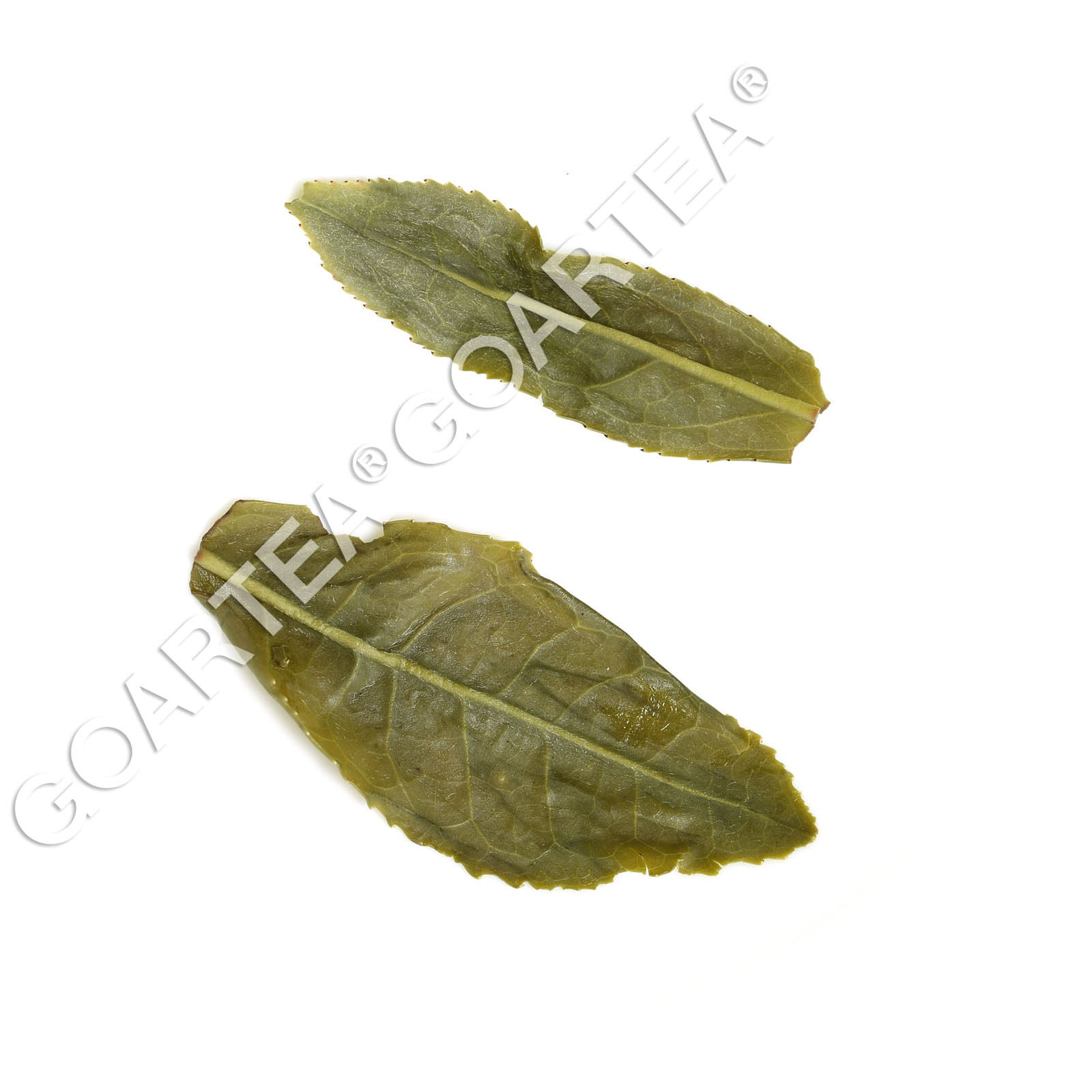 HelloYoung HELLOYOUNG Supreme Melon Slice Liuan Guapian Spring Green Tea Chinese Loose Leaf