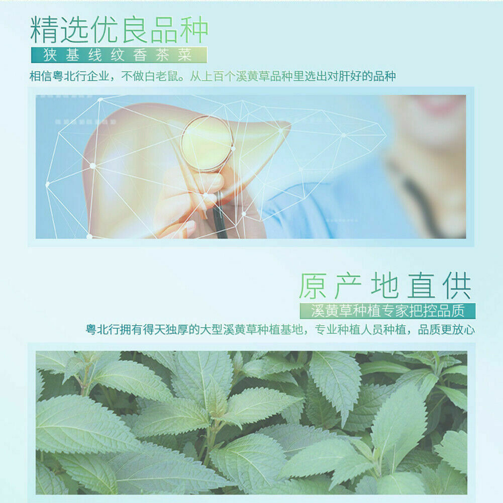 xi huang cao cha China health herbal tea  粤北行 溪黄草茶 100小袋/200g 广东凉茶益肝中草 口感微苦回甘清凉 Secondary image