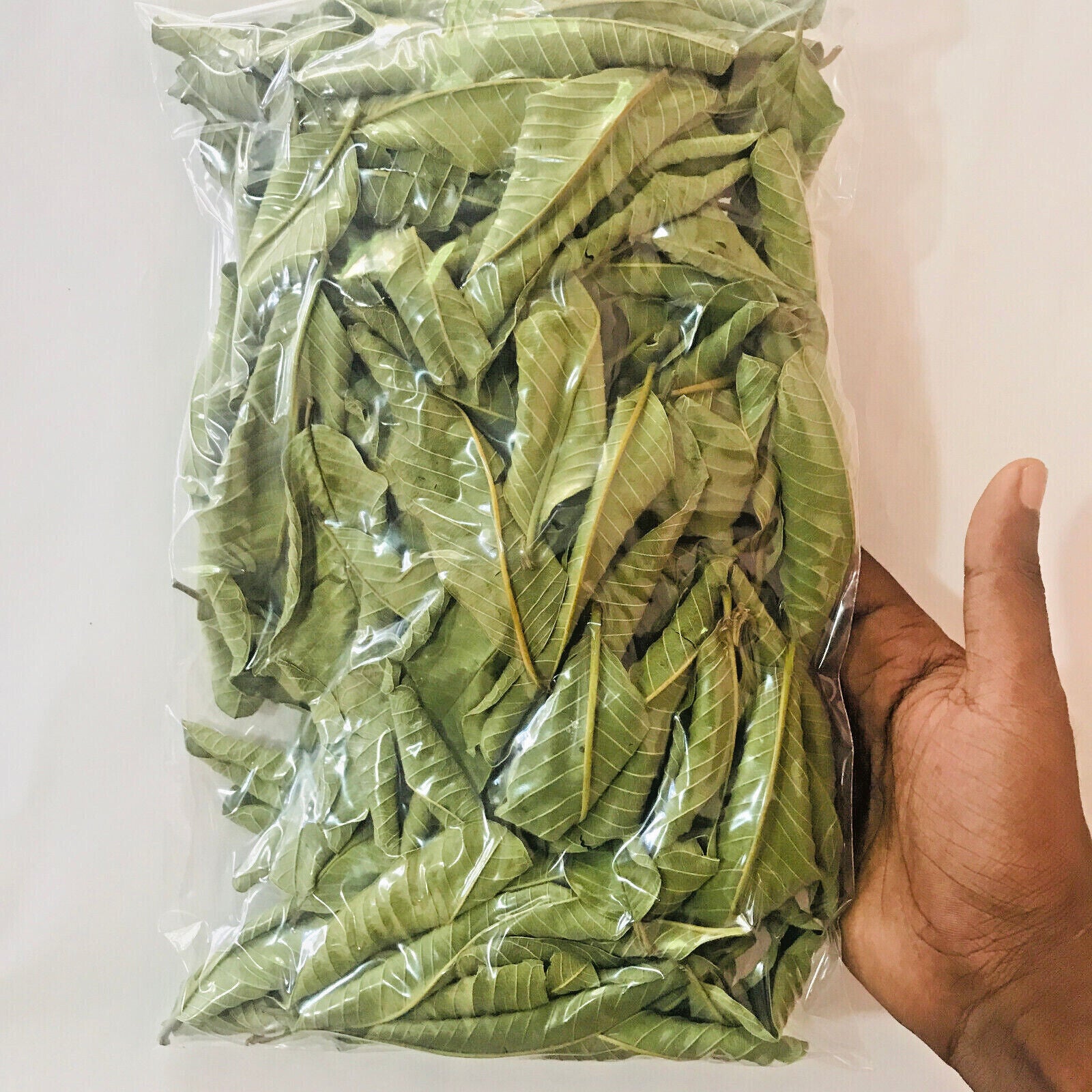 Premium Dried Guava Leaves Hojas De Guayaba Leaf 50 g-500 g