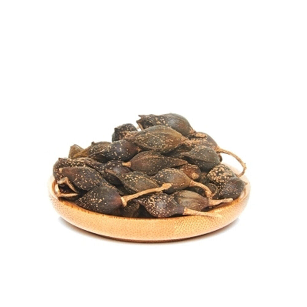 HelloYoung 100% natural dried herb Poria Lian Qiao Fructus Forsythiae aromatic Chinese herb Main image