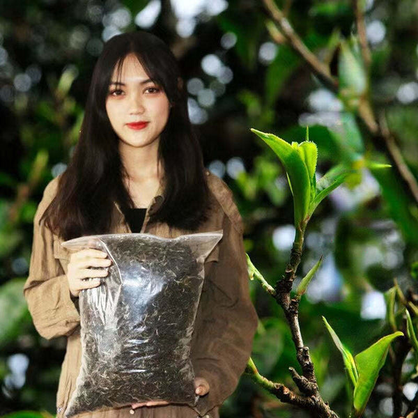 500g Puerh Raw Tea Bulk Ancient Tree Pu-erh Sheng Tea Loose Leaf Pu'er Green Tea