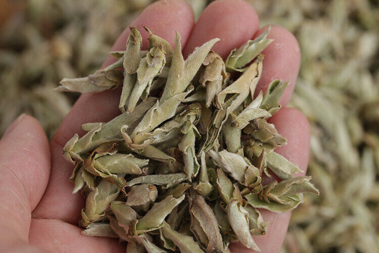 YABAO Bai Ya Bao Shen Puerh Loose Leaf Yunnan White Buds Pu-erh Tea Raw Puer