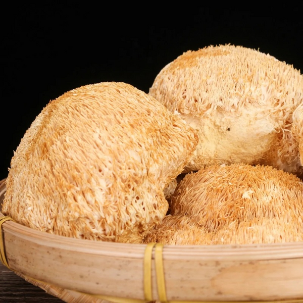 HelloYoung 100% Organic 500g Dried Lion's Mane Mushroom Chinese Herbs Tea