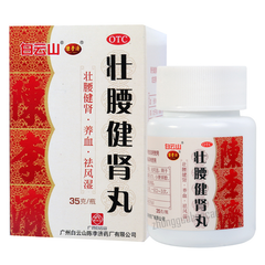 Baiyunshan Zhuangyao Jianshen Wan 白云山壮腰健肾丸