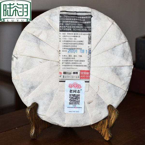 HelloYoung Haiwan Old Comrade Liang Pin Ling Qi Shen Puer Tea Old Raw Pu'er Cake