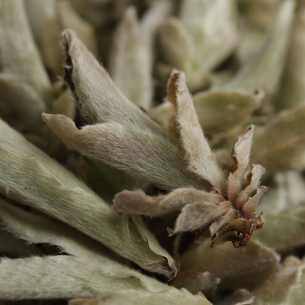 YABAO Bai Ya Bao Shen Puerh Loose Leaf Yunnan White Buds Pu-erh Tea Raw Puer