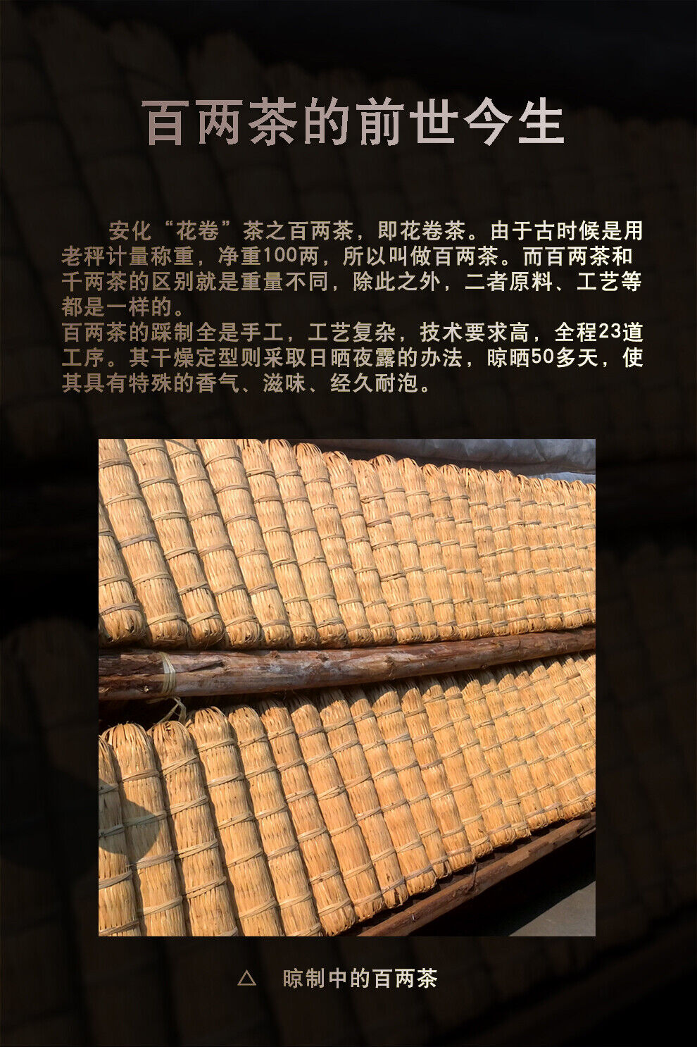 HelloYoung Hunan Anhua BaiLiang Cha Bing Bai Liang Golden Flower Dark Tea Hua Juan Tea 120g