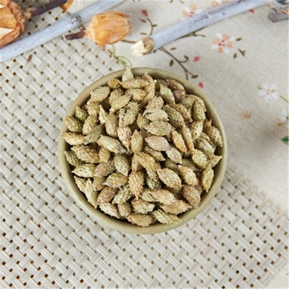 HelloYoung 100% natural top quality Cang Er Zi (Fructus Xanthii) leaves Chinese herb