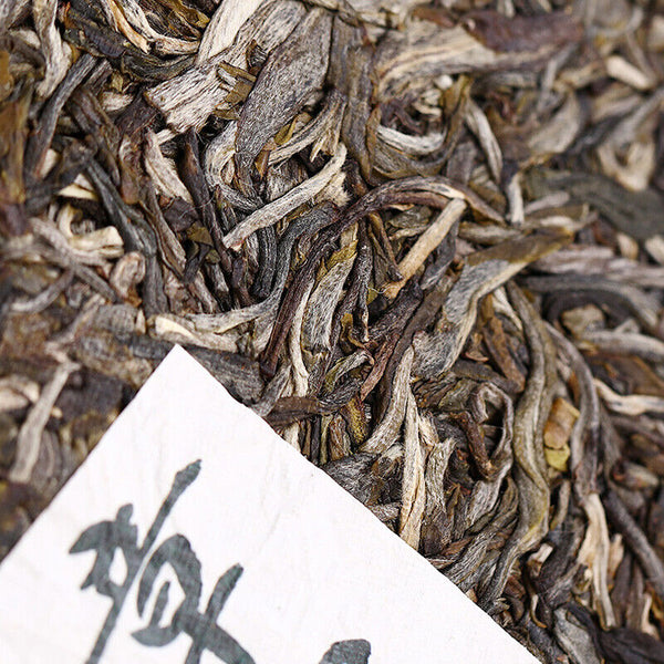 HelloYoung Haiwan Zhang Jia San Dui Puer Raw Tea Bulang Famous Mountain Aged Tree 500g