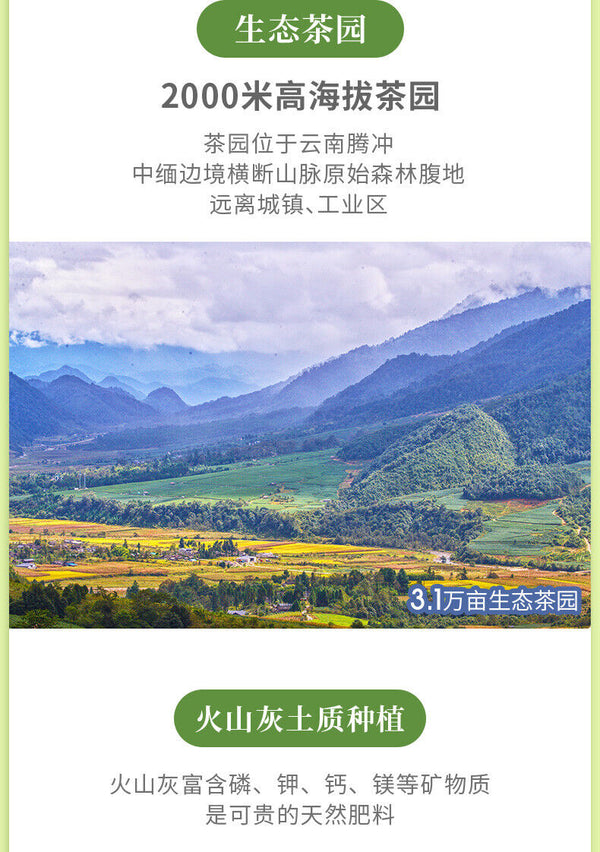JiBian Yunnan TENG CHONG Oolong Tea High Mountain Tea Jade Delicate Aroma 150g