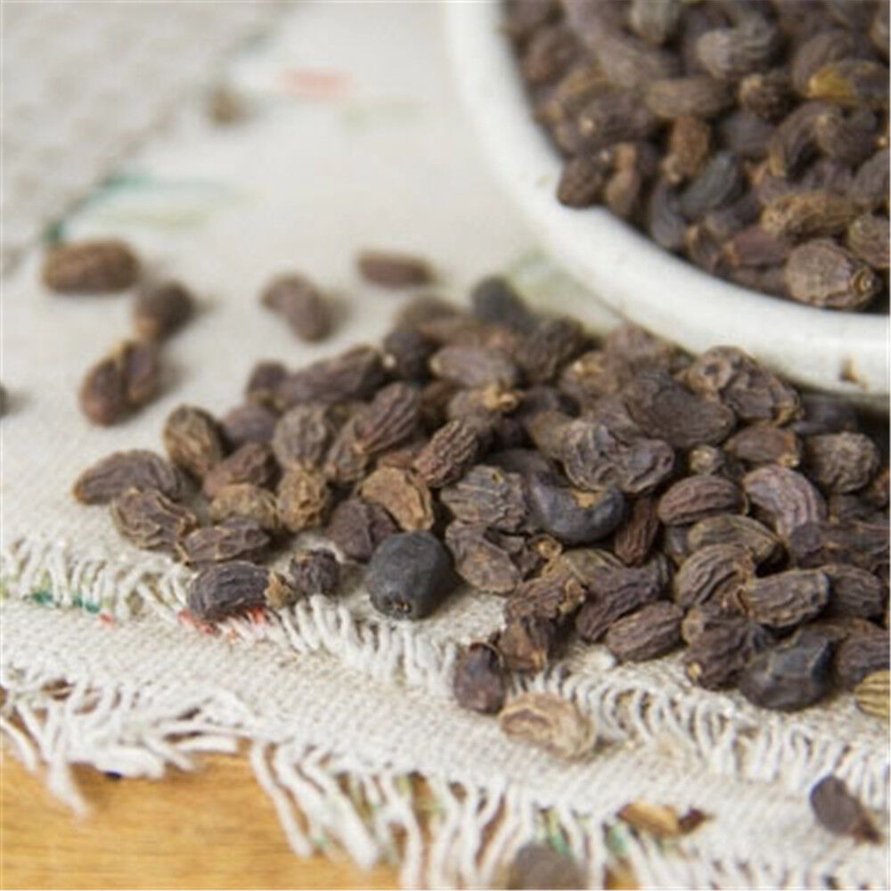 HelloYoung 250/500g 100% Natural Ligustri lucidi Fructus Nv Zhen Zi 陳子 Chinese Herb Tea