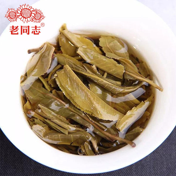 HelloYoung Haiwan Batch 181 Shen Shan Lao Shu Premium Raw Pu-erh Tea Cake 500g