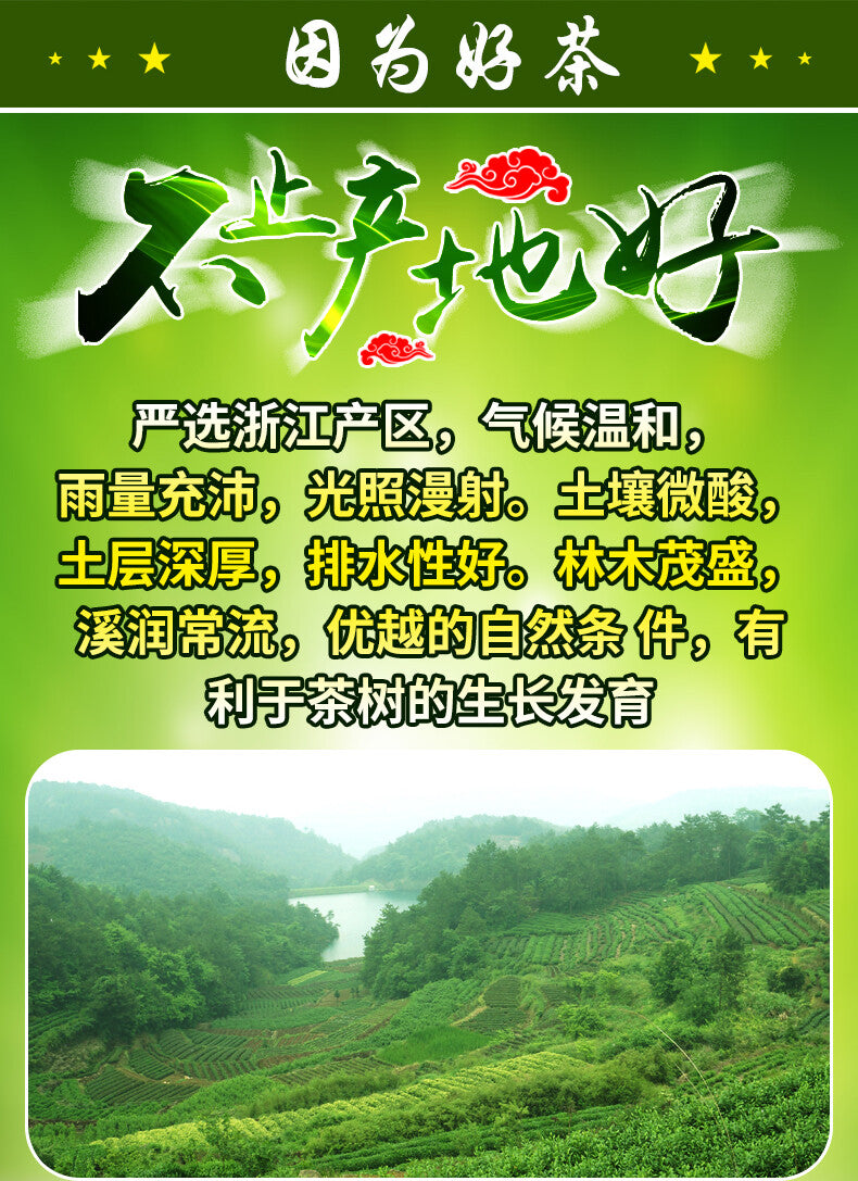 250g  Longjing Loose Tea Chinese Premium Dafo Long Jing Dragon Well Green Tea