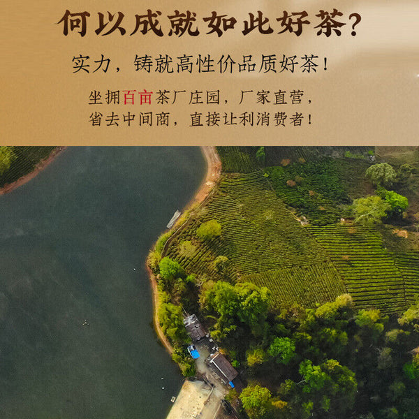 HelloYoung Pu Zi Wei Mengku Ba Nuo Old Leaves Old Tree Huang Pian Pu Er Raw Tea Brick 500g