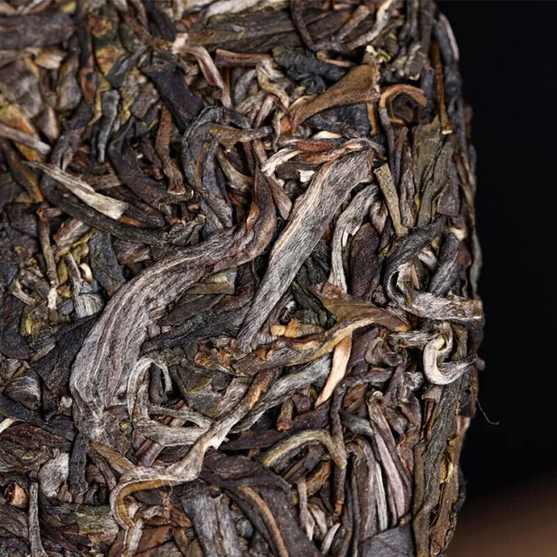 HelloYoung Haiwan Yi Wu Zheng Shan Shen Puerh Ma Hei Famous Old Tree Raw Puer Tea 500g
