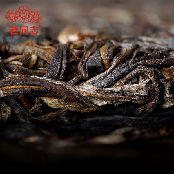 HelloYoung Haiwan Sheng Puer Tea Dong Guo Village Ancient Tree Raw Puerh Tea 500g