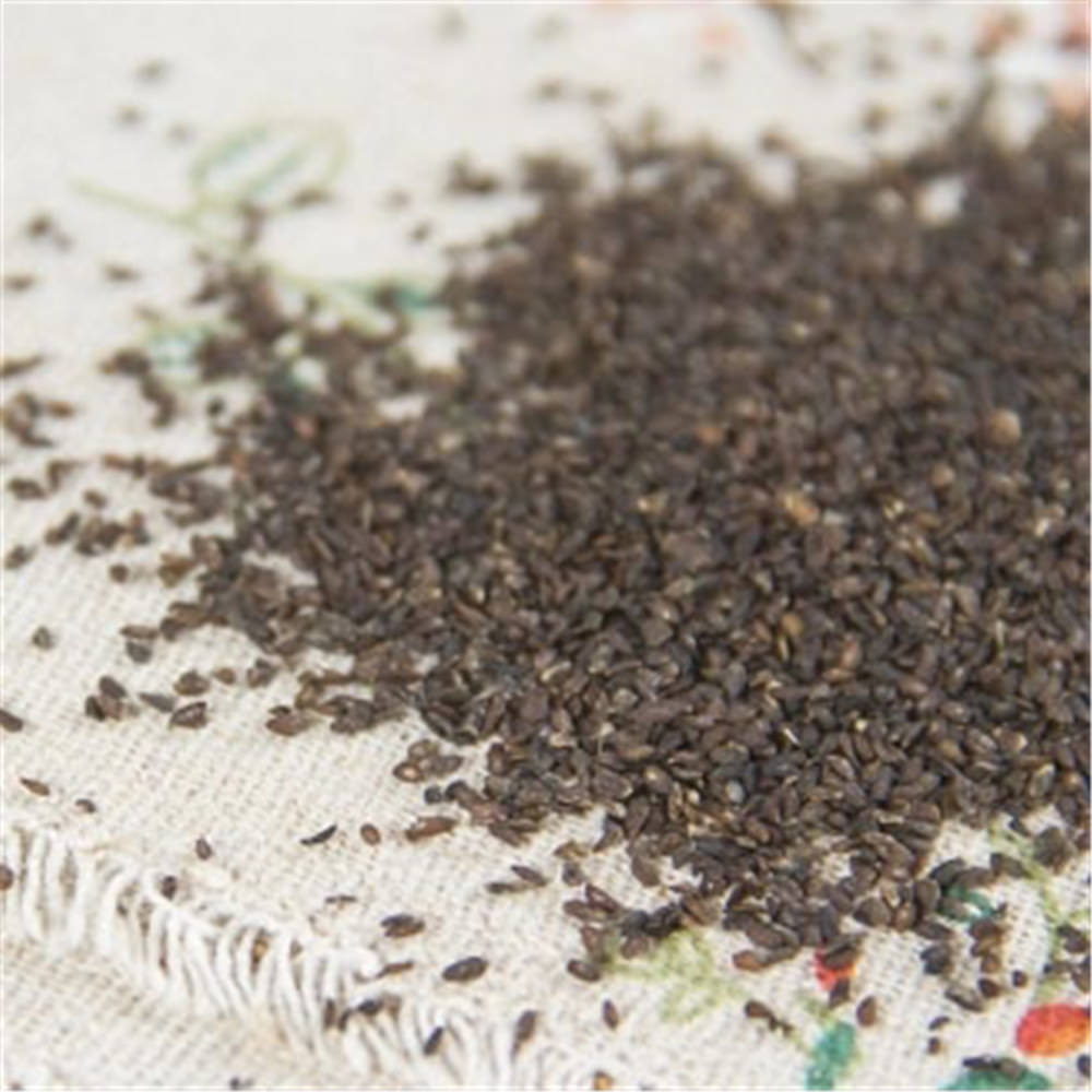 HelloYoung 100% Natural Plantago Asiatica Seed Che Qian Zi Plantain Seed Psyllium Seed 车前子