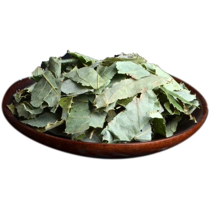 HelloYoung Dried Herbs Tea Horny Goat Weed 淫羊藿 barrenwort Epimedium Natural Herbal Tea