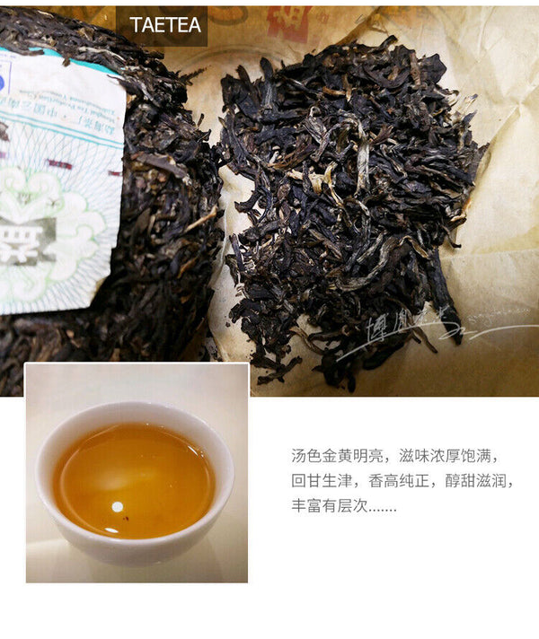 HelloYoung TAETEA 08 Qing Tuo Pu'er Tea Puerh Dayi Tuocha Batch 801 Puer Tea Raw 250g