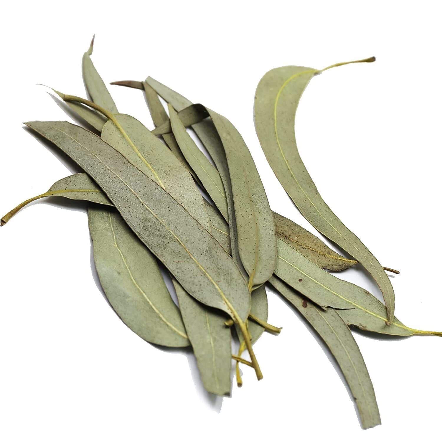 HelloYoung FullChea Dried Eucalyptus Leaves 114g Hojas de Eucalipto Herb Whole Leaf