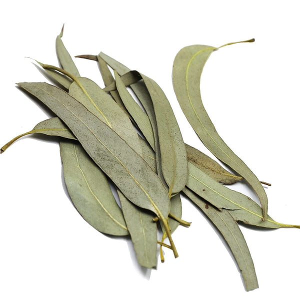 HelloYoung FullChea Dried Eucalyptus Leaves 114g Hojas de Eucalipto Herb Whole Leaf