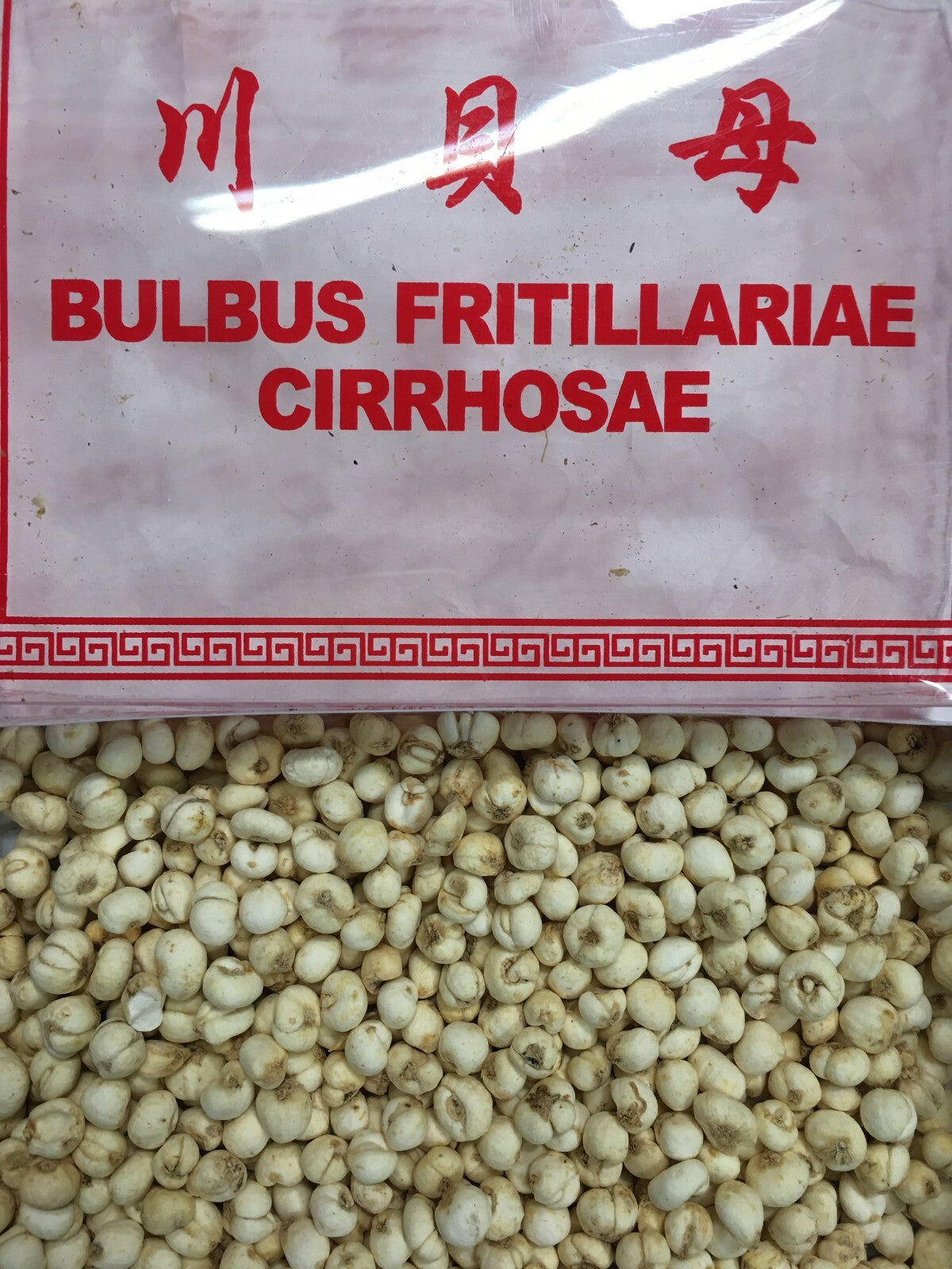 Fritillaria Cirrhosae 川貝母) -  6 OZ
