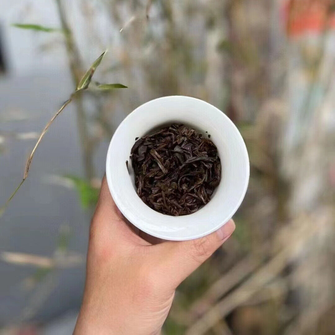 357g Yunnan Raw Pu-erh Old Tea Cake Jiangcheng Puerh Tea Aged Pu'er Raw Tea