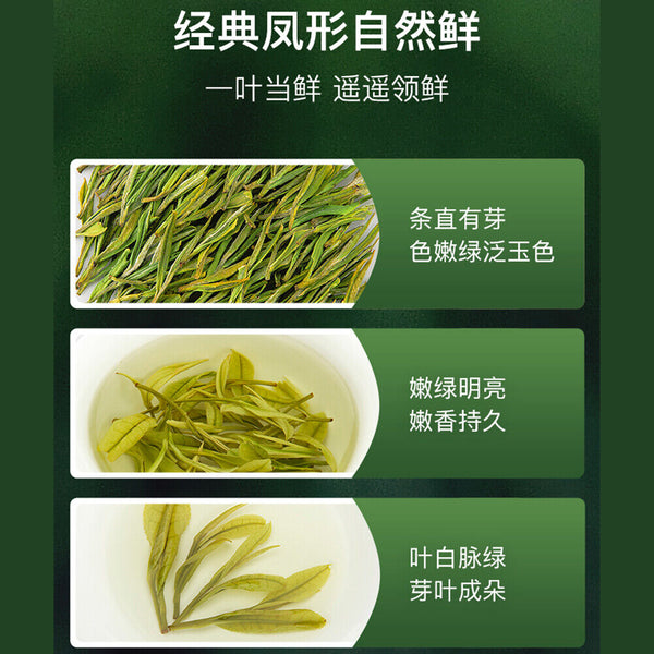 Spring Organic Green Tea 100g Authentic Anji White Natural Organic
