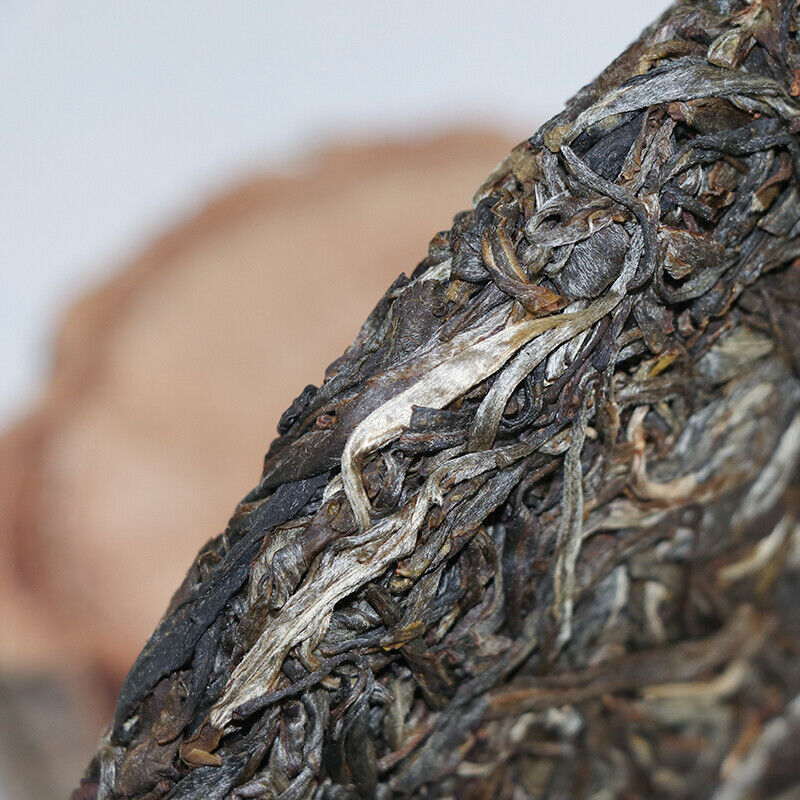 HelloYoung Yunnan Lincang Big Snow Mountain Big Tree Spring Puer Pu'er Tea Raw 357g