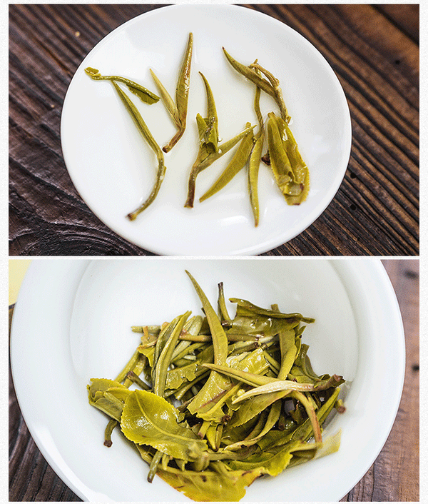 Supreme Organic Early Spring Snowy Mountain Dian Lv Silver Tips Yunnan Green Tea