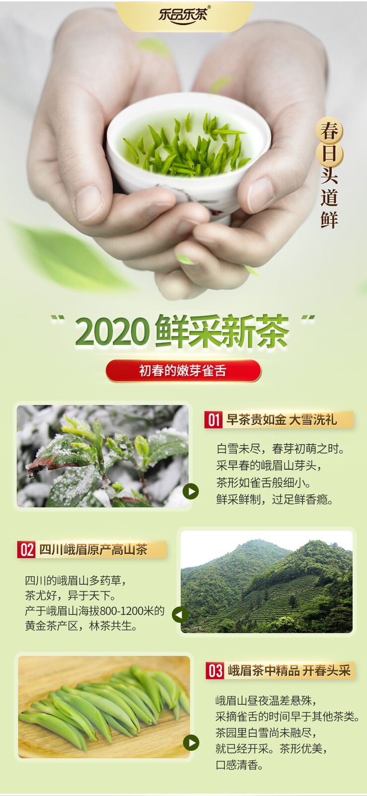 HelloYoung LEPINLECHA Ming Qian Silver Jar Que She Sparrow's Tongue Chinese Green Tea 100g