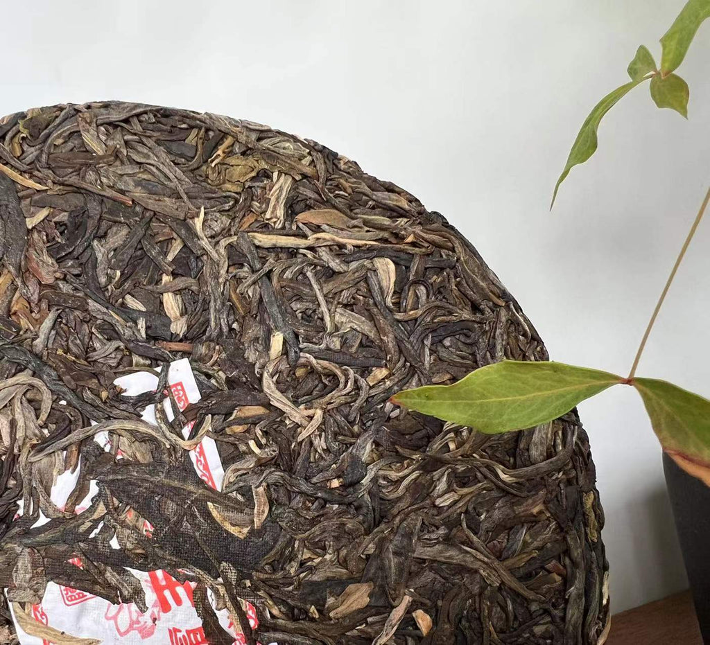HelloYoung Ba Wang Qing Bin (Overlord Green Cake) Chensheng Hao Pu-erh Tea Raw 357g