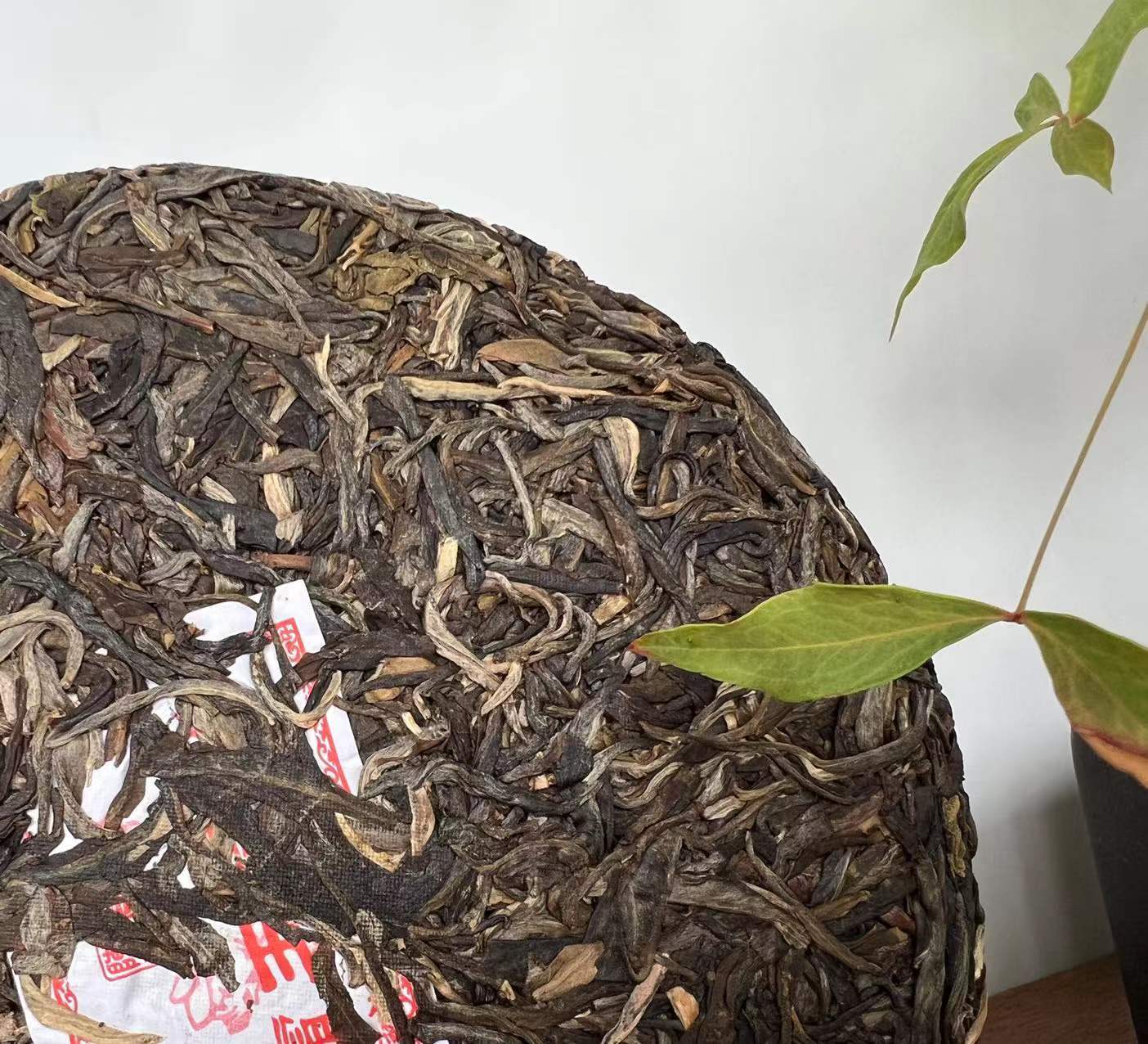 HelloYoung Ba Wang Qing Bin (Overlord Green Cake) Chensheng Hao Pu-erh Tea Raw 357g