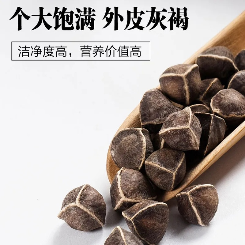 HelloYoung 250g Top In Bulk Moringa Seeds Heathy Herbal Tea Lamuzi Herbs Healthy Drink 辣木籽 Secondary image