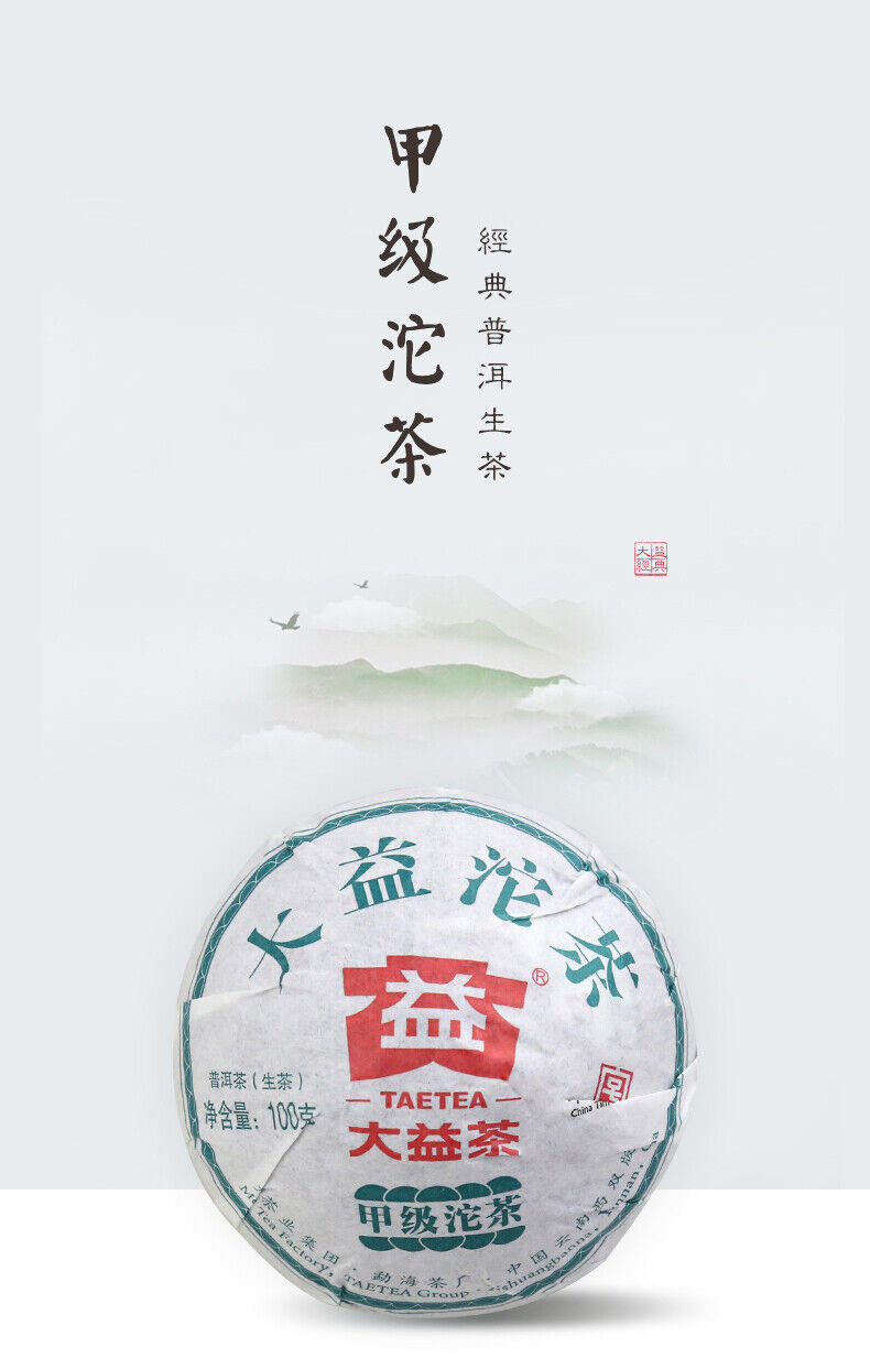 HelloYoung Classic Raw Pu'er Tea Jia Ji TuoCha Menghai TAETEA Dayi Tea Raw Pu-erh 500g