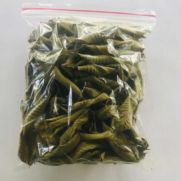 Premium Dried Guava Leaves - Hojas De Guayaba, 50g to 500g