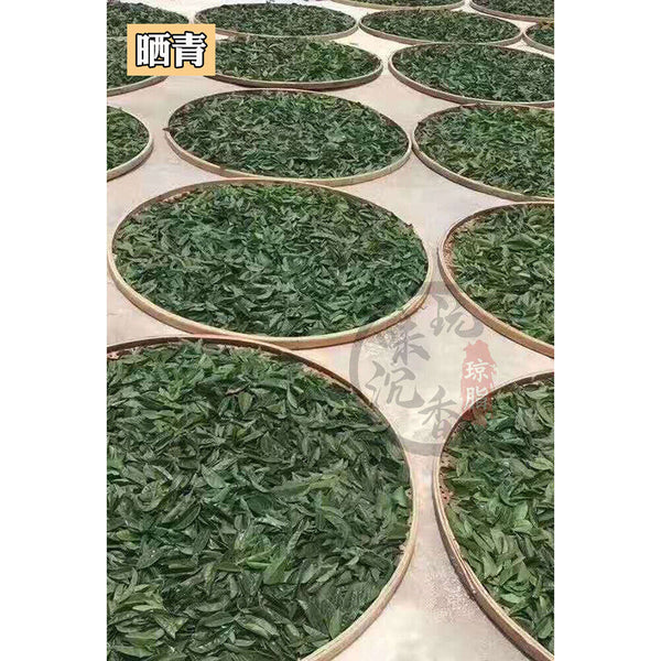 HelloYoung Herb Tea Qinan Health Tea Chenxiang 250g Chenxiang Tea Qinan Natural Health