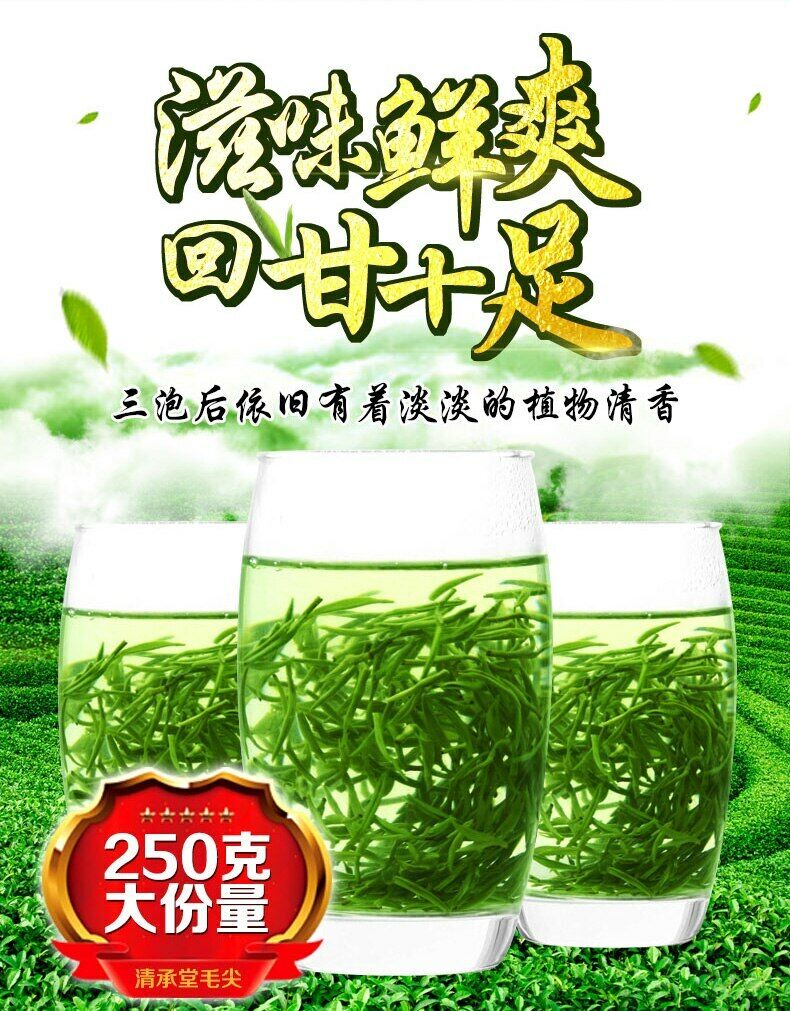 HelloYoung Ming Qian Premium Xinyang Maojian Tea Xin Yang Tea Mao Jian Green Tea 250g Tin