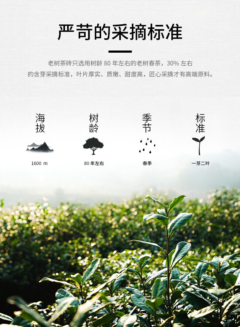 HelloYoung Haiwan Tea Menghai Old Tree Tea Brick Ripe Pu-erh Pu Er Tea 500g Box