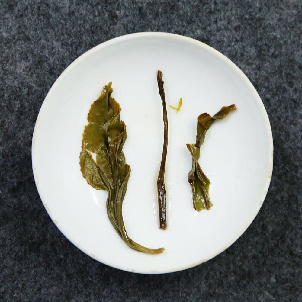 HelloYoung Huangzhi Aroma Oolong Tea Phoenix Dancong Feng Huang Wulong Tea