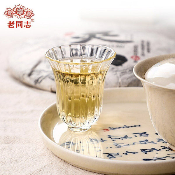 HelloYoung Haiwan The Gathering of Plant Spirit Raw Puer Excellent Shen Puerh Tea 400g