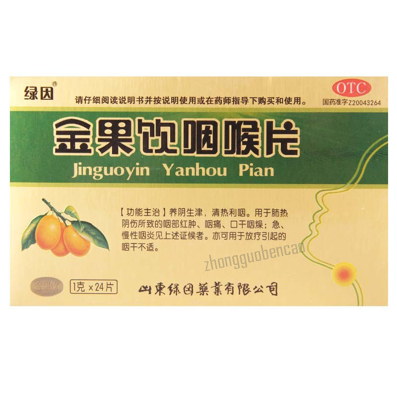 绿因金果饮咽喉片 Lvyin Jinguoyin Yanhou Pian Secondary image