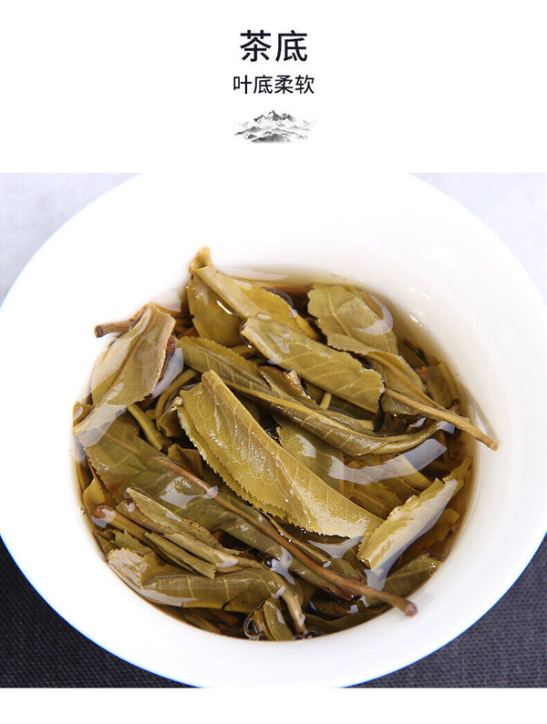 Chinese Haiwan  Shen Pu'er Tea Batch 181 Shen Shan Lao Shu Raw Puer Tea 500g
