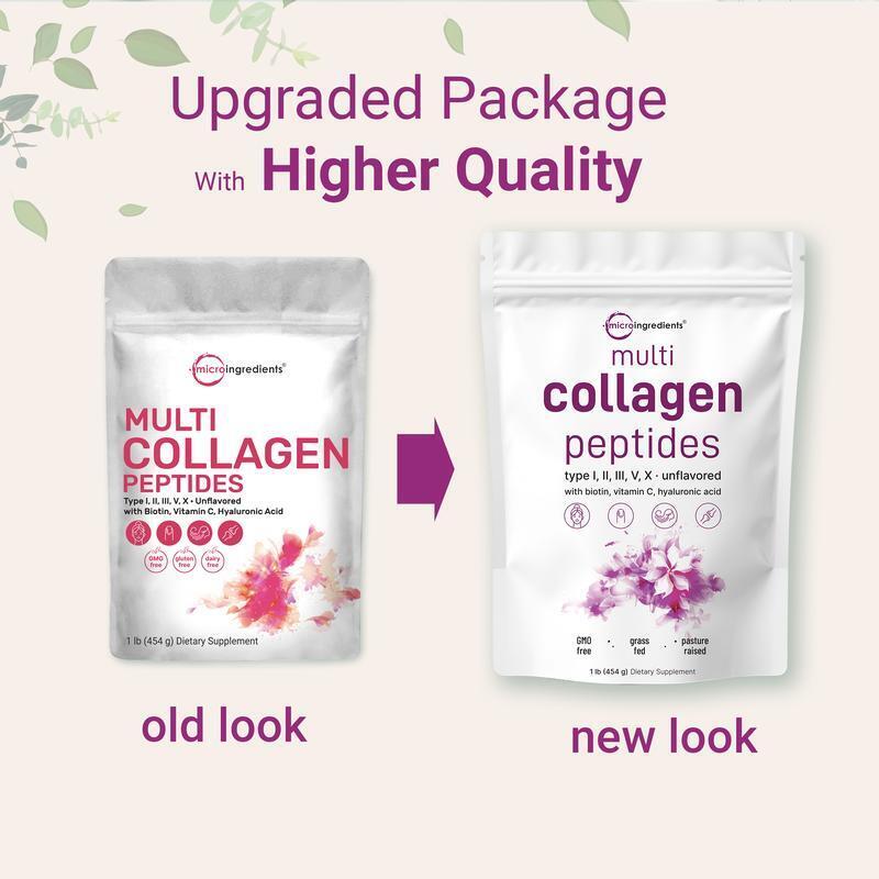 Multi-Collagen Peptides Powder (Types I, II, III, V, X) - Hydrolyzed Protein