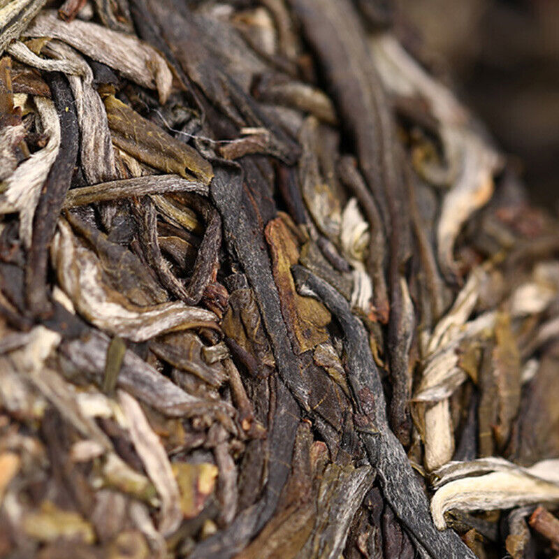 Haiwan Zhang Jia San Dui Puer Raw Tea Bulang Famous Mountain Aged Tree 500g